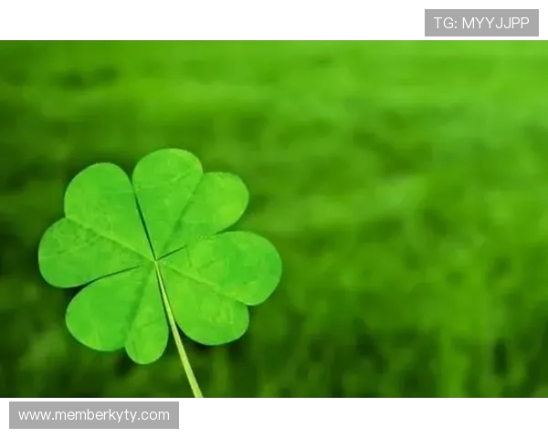 开运开户助你财运旺盛,开启人生新辉煌的必备之选