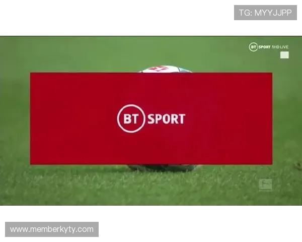 揭秘开云娱乐网站如何成为勒沃库森的主要赞助商以及对球队的深远影响